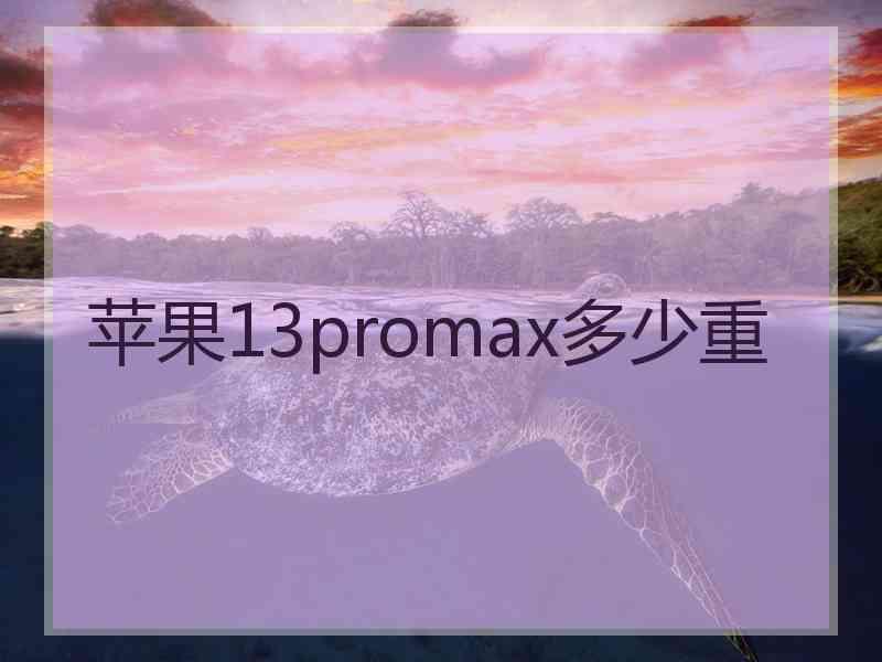 苹果13promax多少重