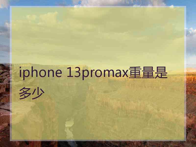 iphone 13promax重量是多少