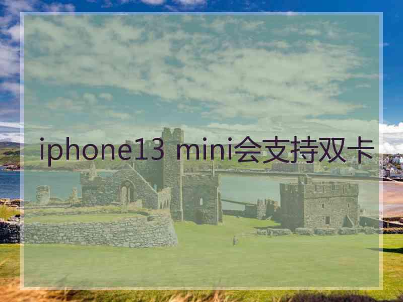 iphone13 mini会支持双卡