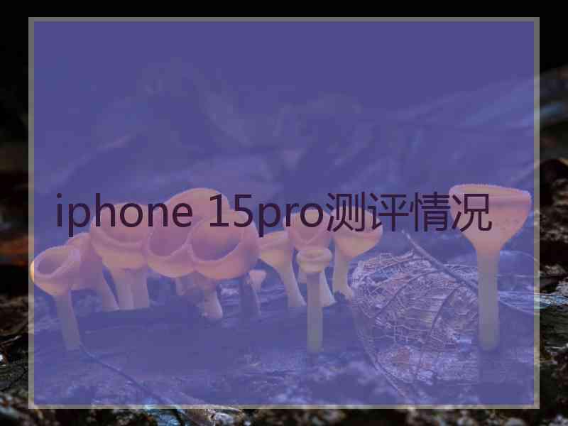 iphone 15pro测评情况