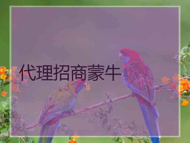 代理招商蒙牛