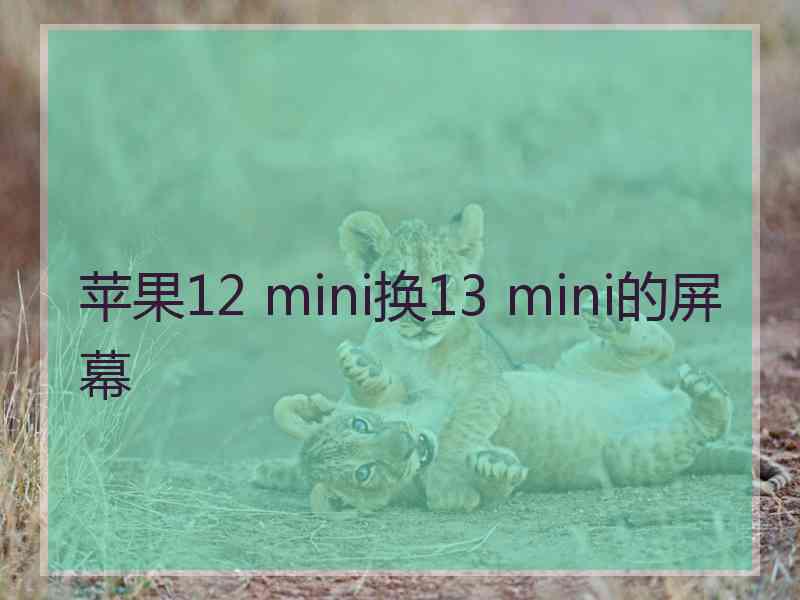 苹果12 mini换13 mini的屏幕