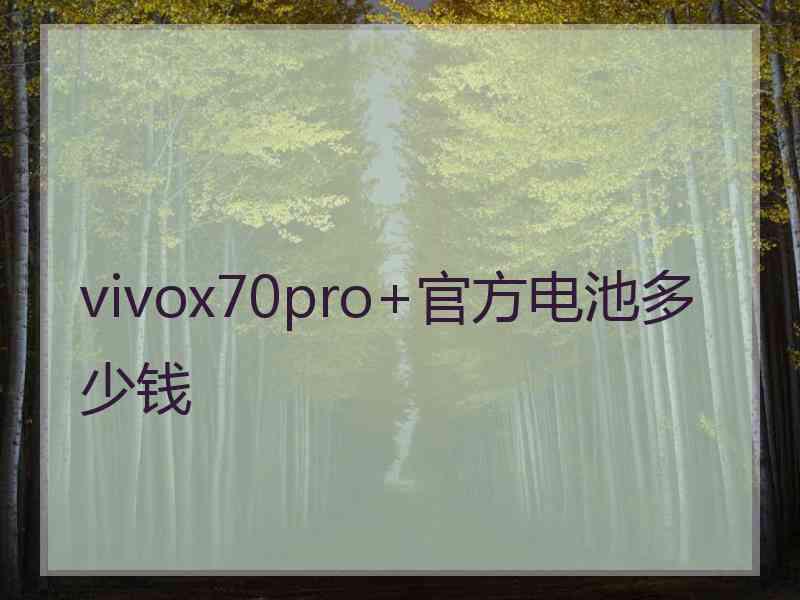 vivox70pro+官方电池多少钱