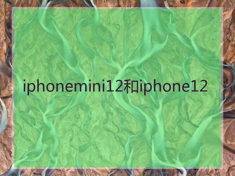 iphonemini12和iphone12