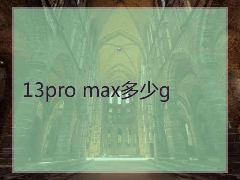 13pro max多少g