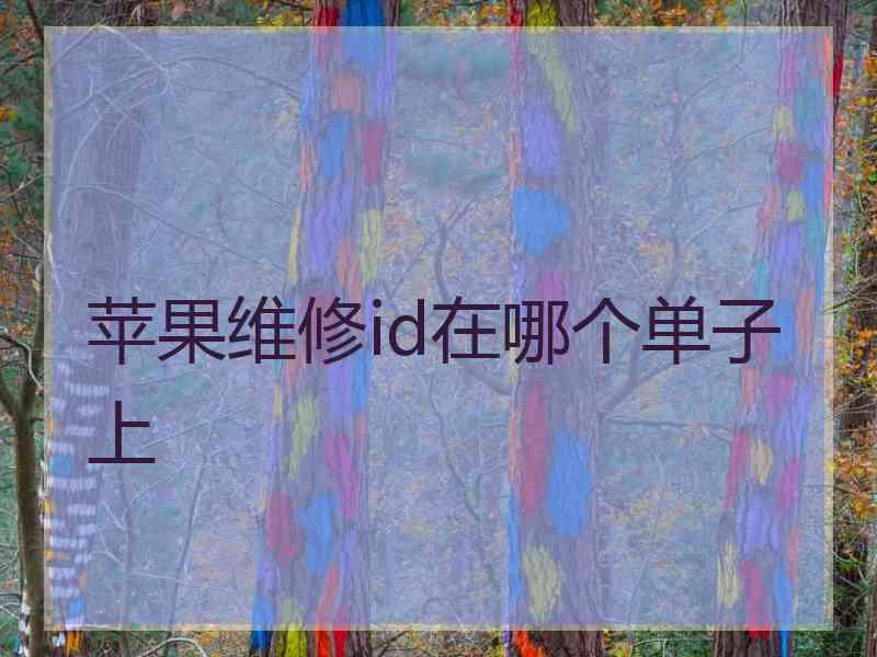 苹果维修id在哪个单子上