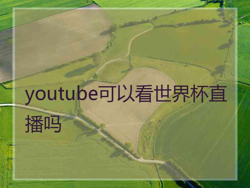 youtube可以看世界杯直播吗