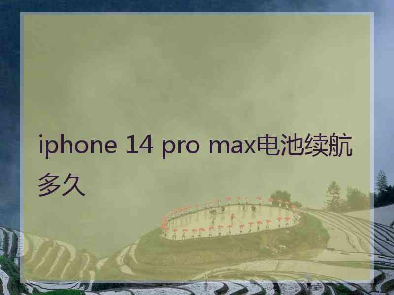 iphone 14 pro max电池续航多久