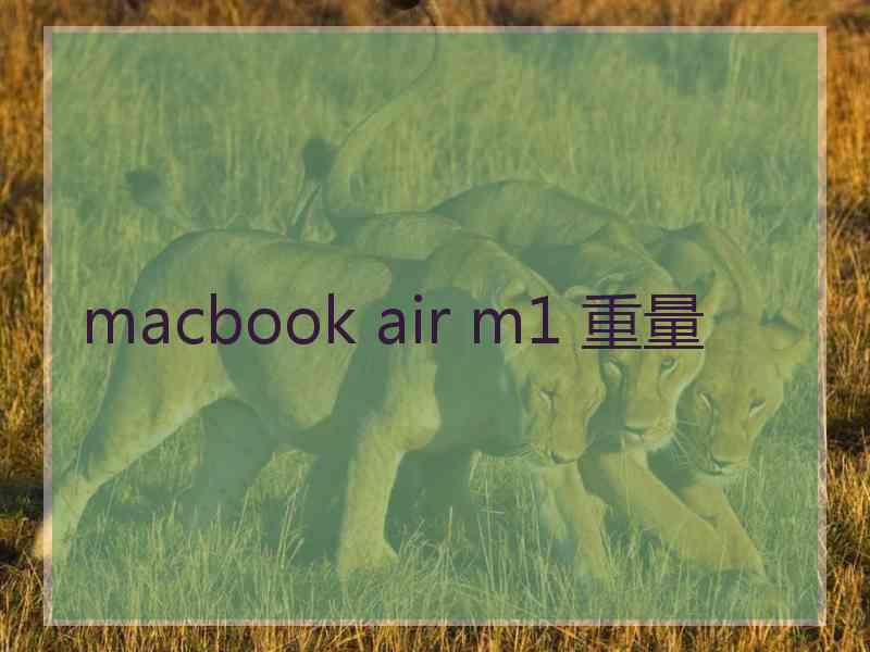 macbook air m1 重量