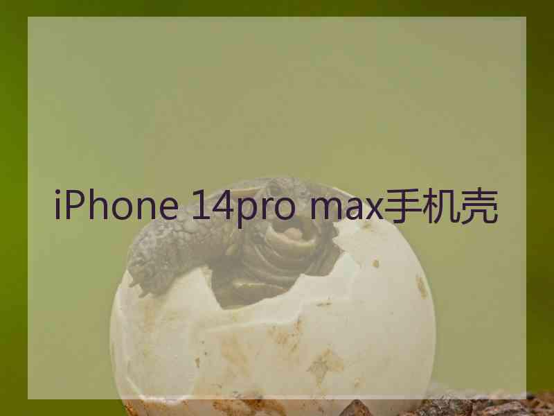 iPhone 14pro max手机壳