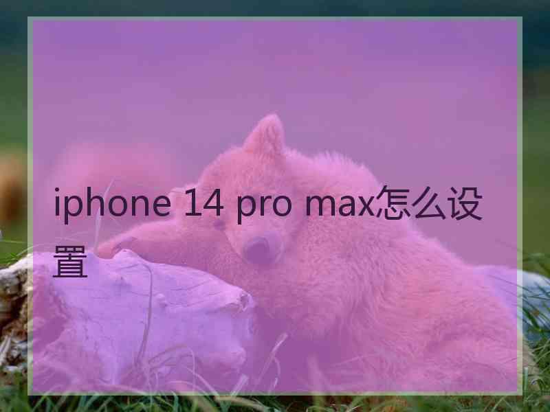 iphone 14 pro max怎么设置