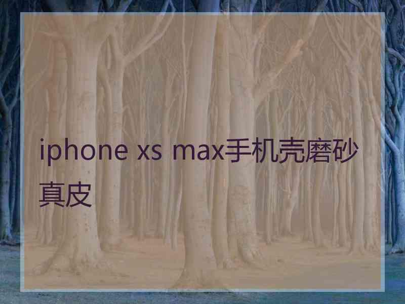 iphone xs max手机壳磨砂真皮