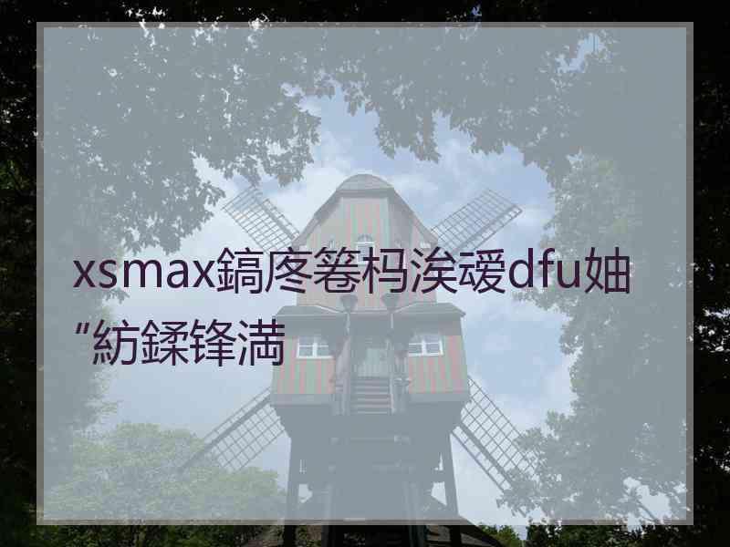 xsmax鎬庝箞杩涘叆dfu妯″紡鍒锋満