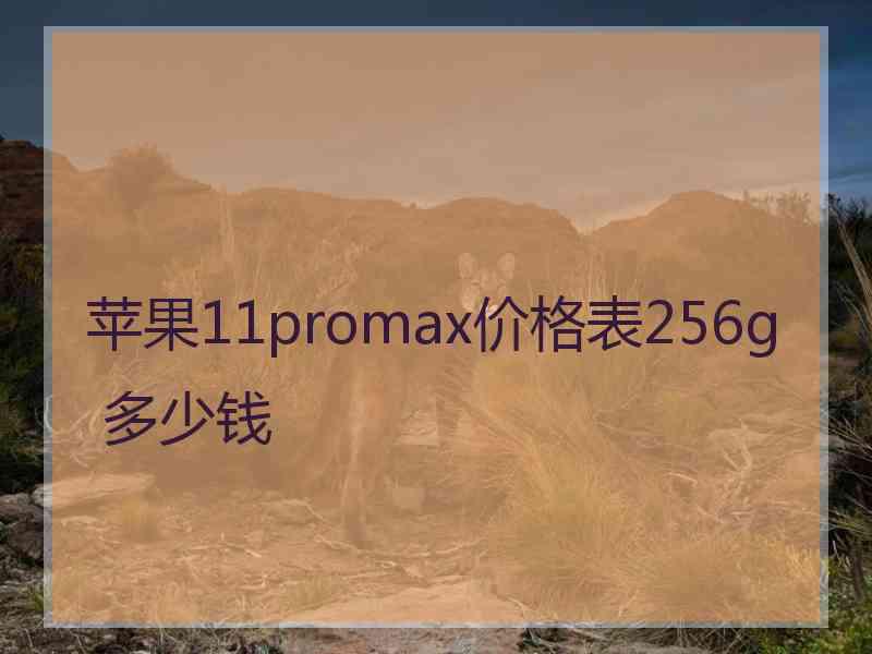 苹果11promax价格表256g 多少钱