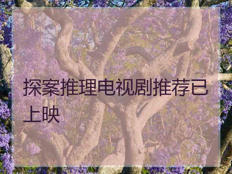 探案推理电视剧推荐已上映