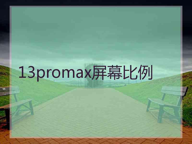 13promax屏幕比例