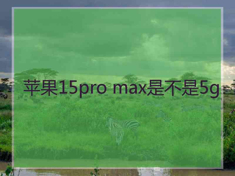 苹果15pro max是不是5g