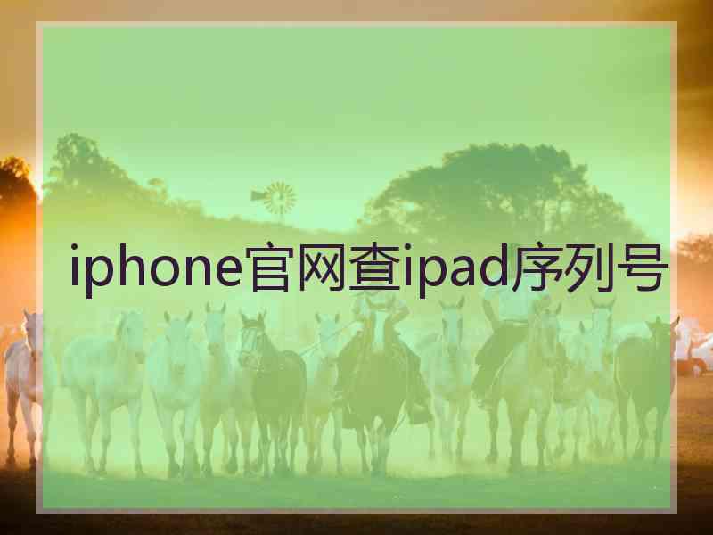 iphone官网查ipad序列号