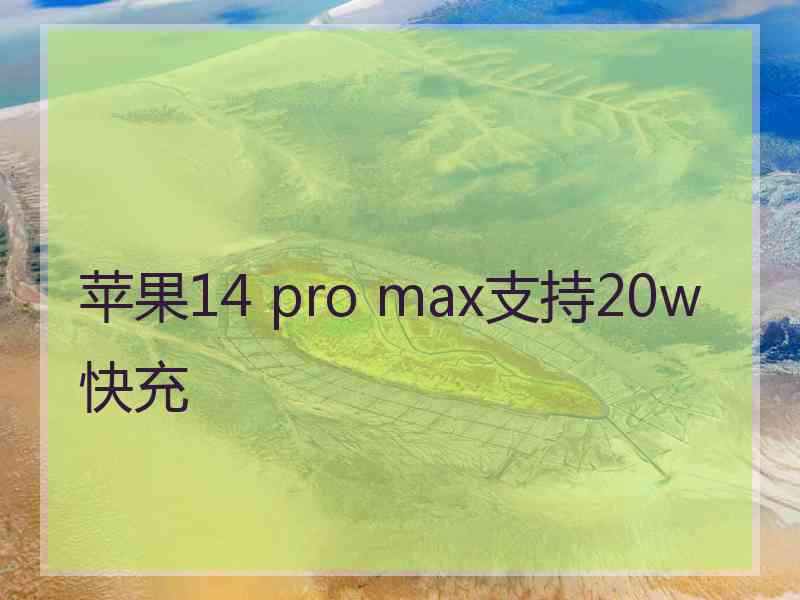 苹果14 pro max支持20w快充