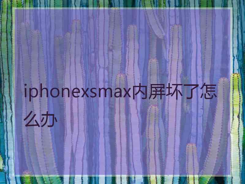 iphonexsmax内屏坏了怎么办