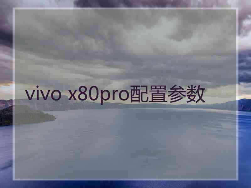 vivo x80pro配置参数