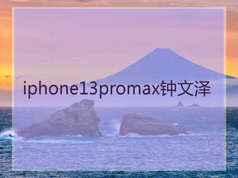 iphone13promax钟文泽