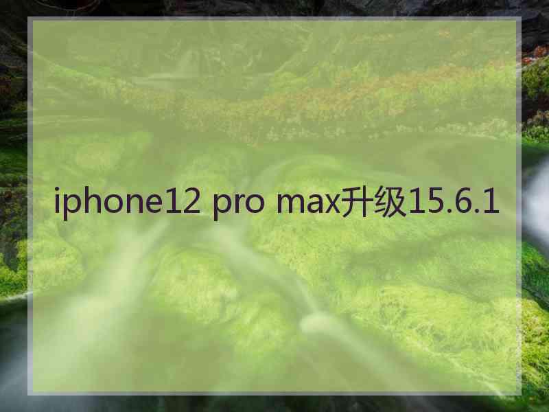 iphone12 pro max升级15.6.1