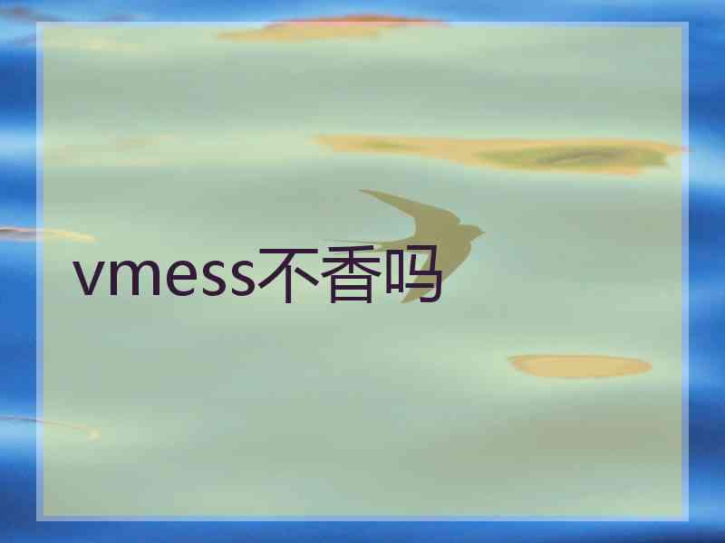 vmess不香吗