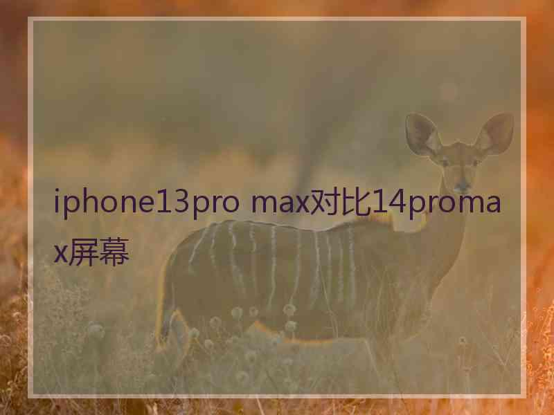 iphone13pro max对比14promax屏幕