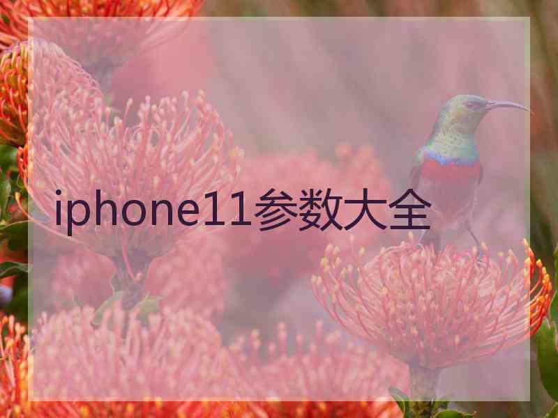 iphone11参数大全