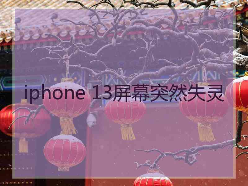 iphone 13屏幕突然失灵