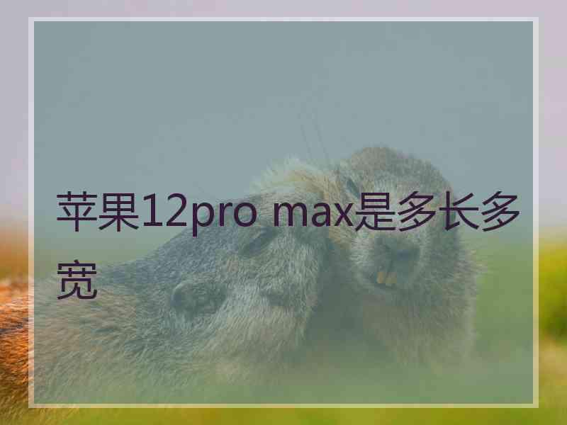 苹果12pro max是多长多宽