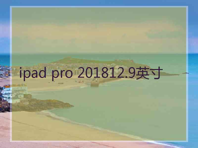 ipad pro 201812.9英寸