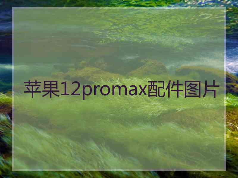 苹果12promax配件图片