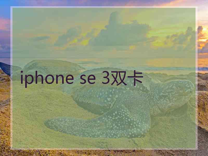 iphone se 3双卡