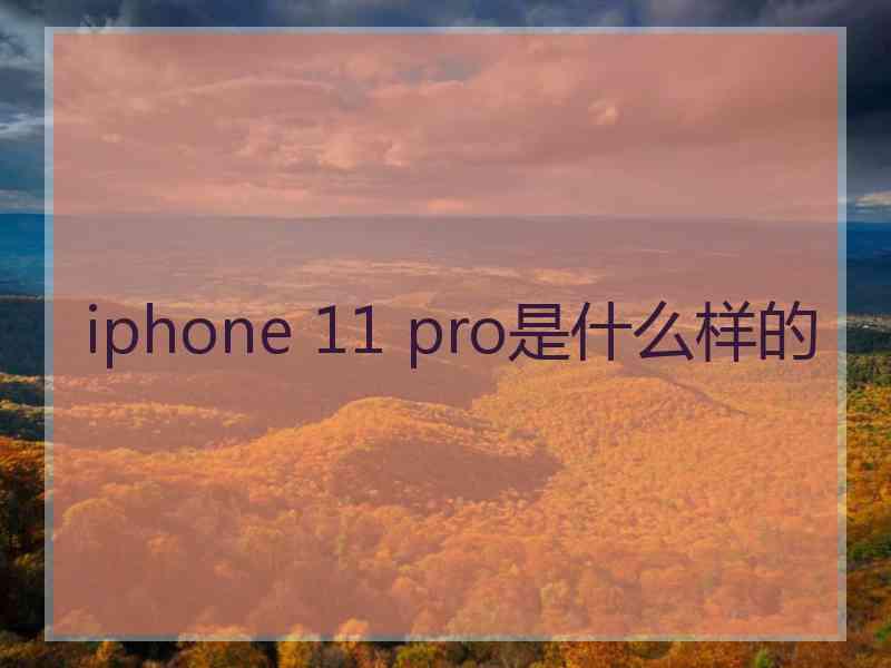 iphone 11 pro是什么样的