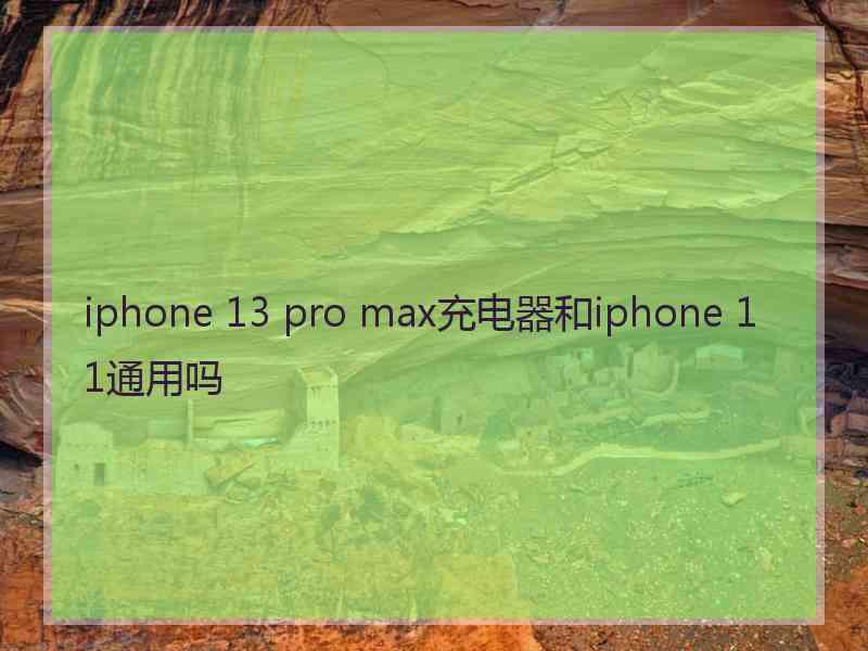 iphone 13 pro max充电器和iphone 11通用吗