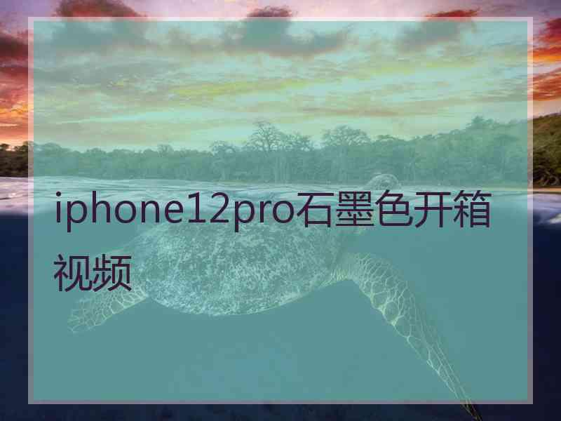 iphone12pro石墨色开箱视频