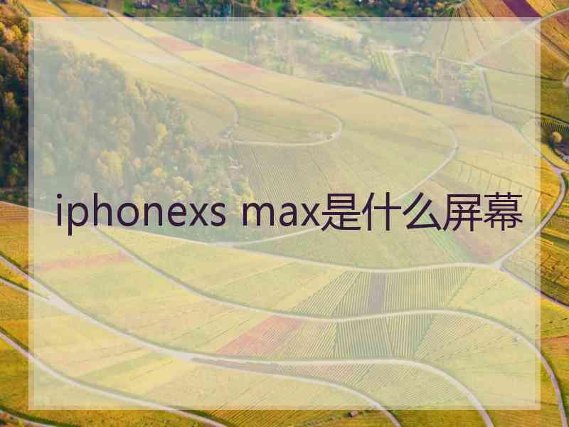 iphonexs max是什么屏幕