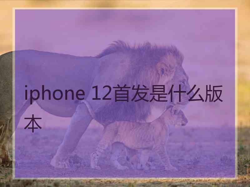 iphone 12首发是什么版本