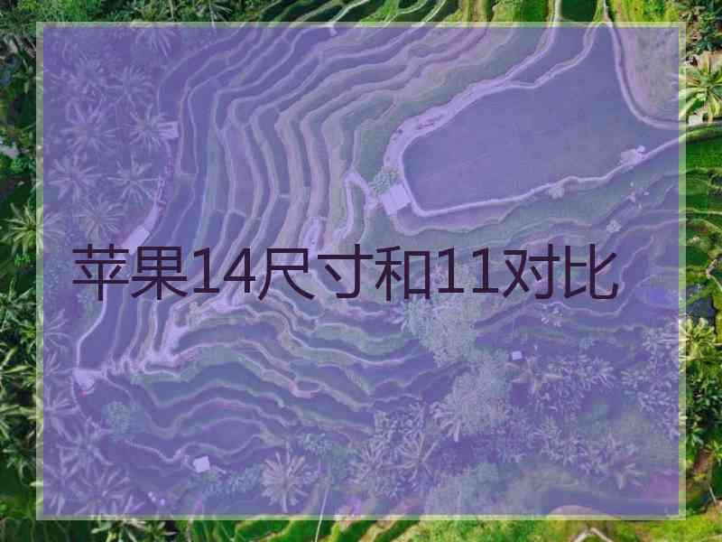 苹果14尺寸和11对比