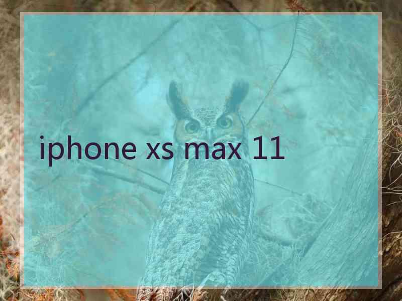 iphone xs max 11