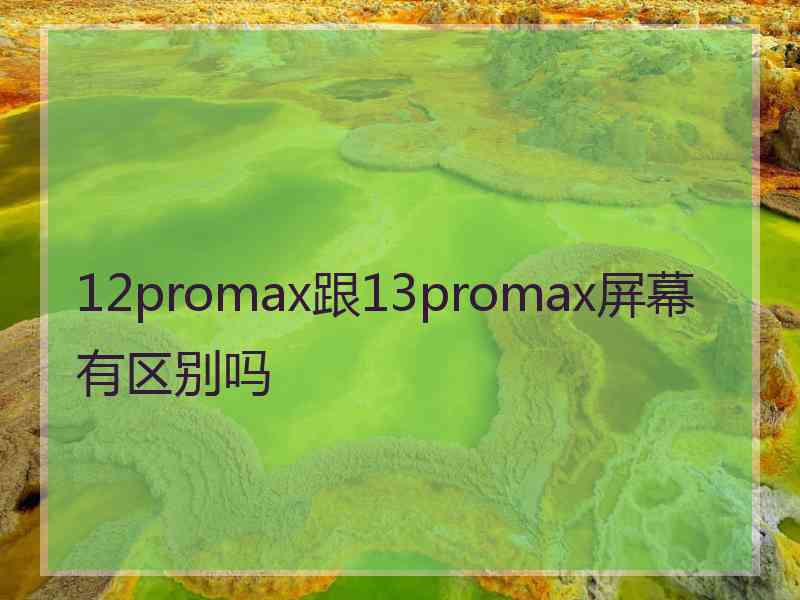 12promax跟13promax屏幕有区别吗