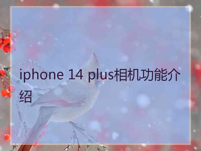 iphone 14 plus相机功能介绍