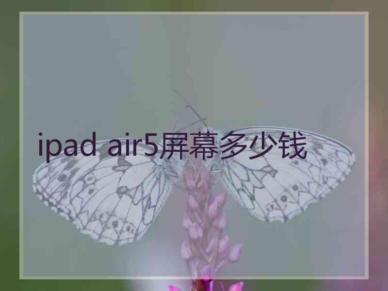 ipad air5屏幕多少钱