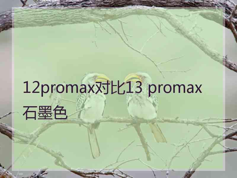 12promax对比13 promax石墨色