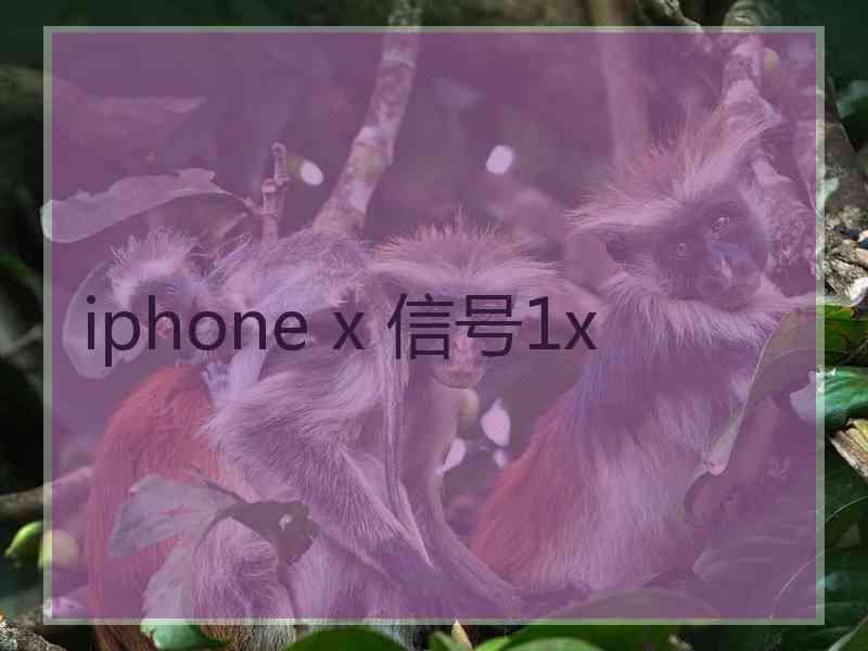 iphone x 信号1x