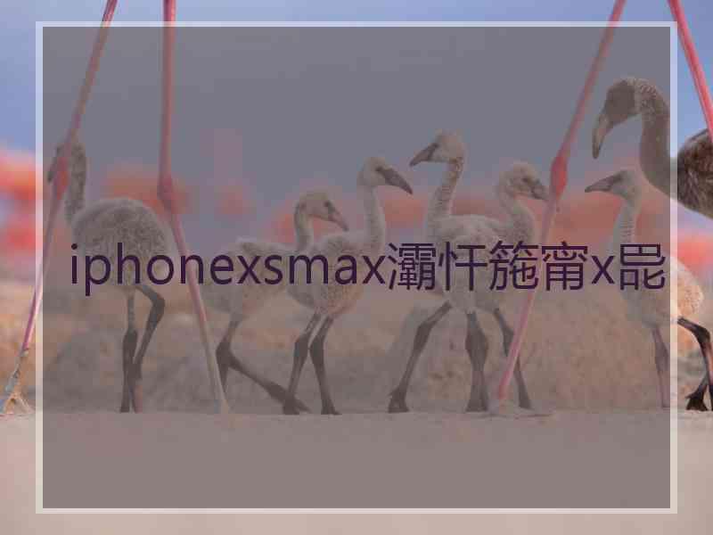 iphonexsmax灞忓箷甯х巼