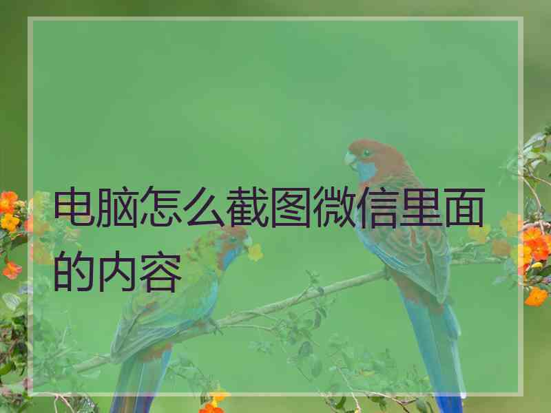 电脑怎么截图微信里面的内容