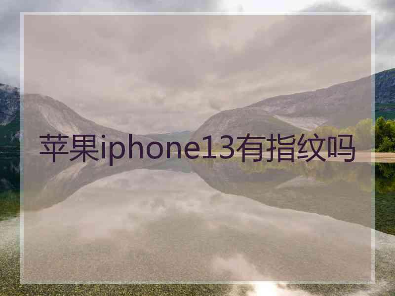 苹果iphone13有指纹吗